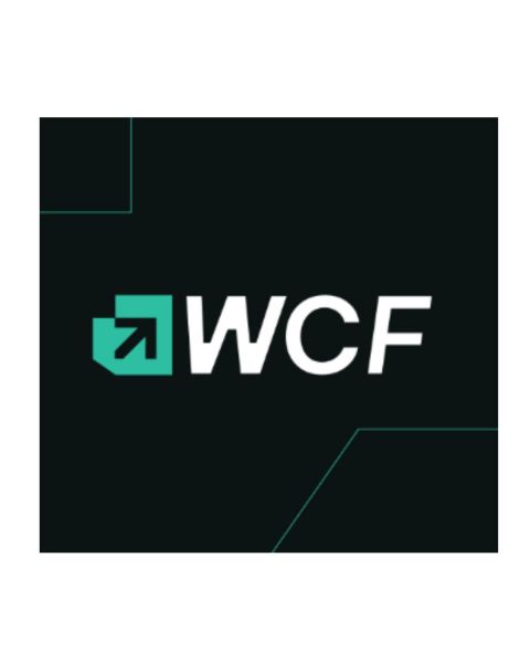 WIRLLA CF - CONSULTORIA EM TECNOLOGIA DA INFORMACAO LTDA