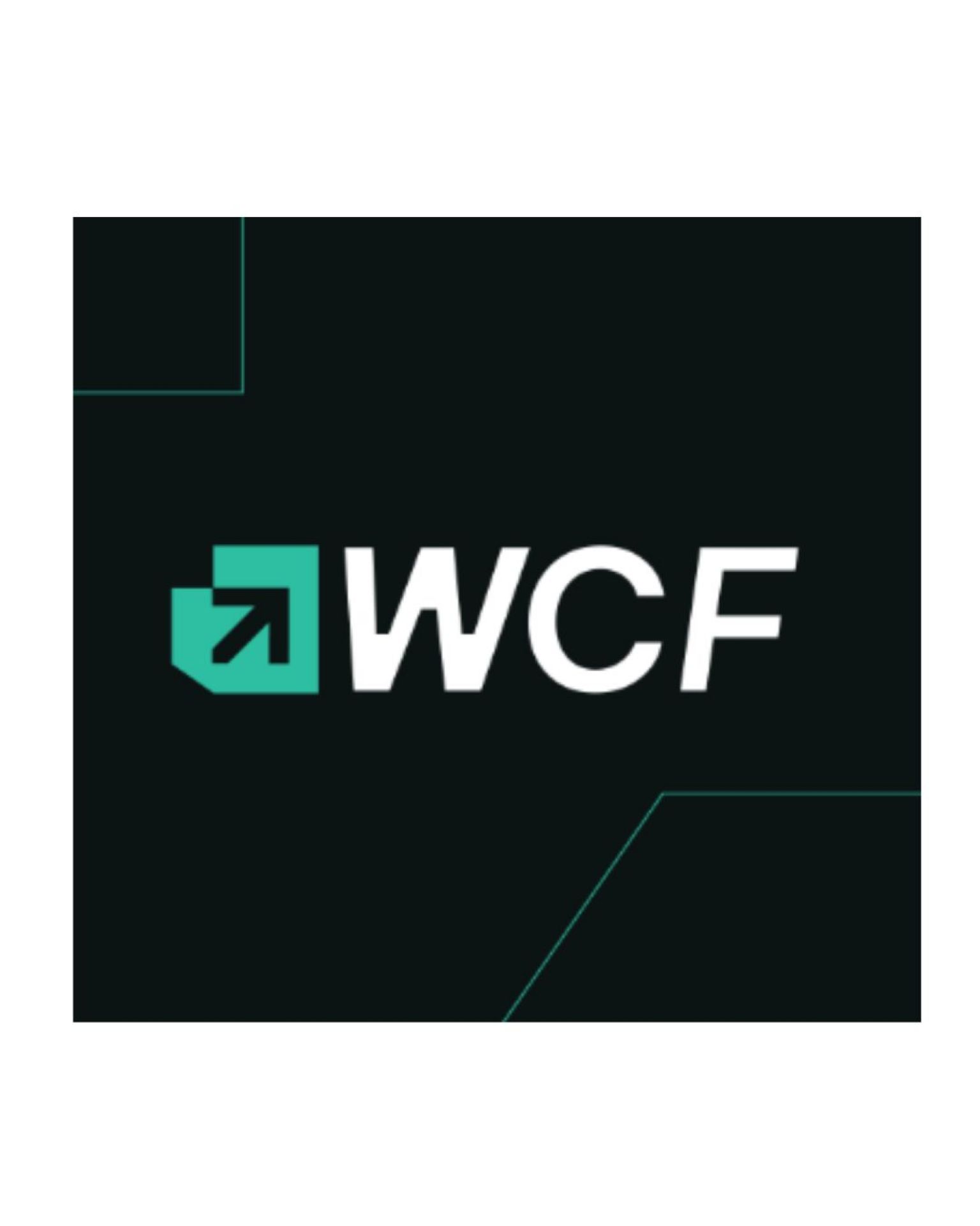 WIRLLA CF - CONSULTORIA EM TECNOLOGIA DA INFORMACAO LTDA